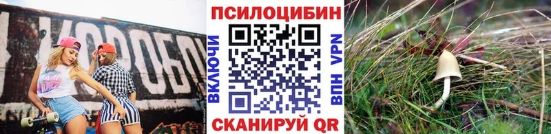 Псилоцибиновые грибы Magic Shrooms  купить  цена  Щигры 